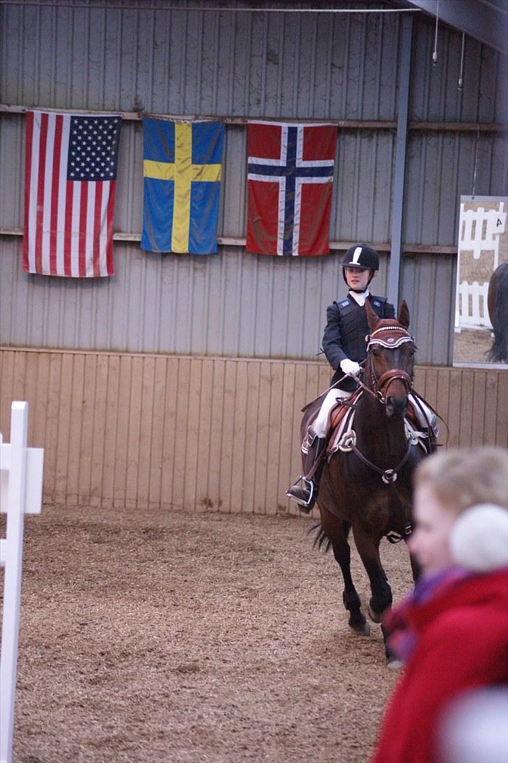 Stævne på Stevns rideklub D. 16/5-10 LJ-Foto billede 52