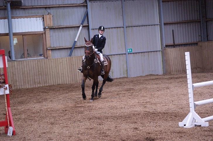 Stævne på Stevns rideklub D. 16/5-10 LJ-Foto billede 53