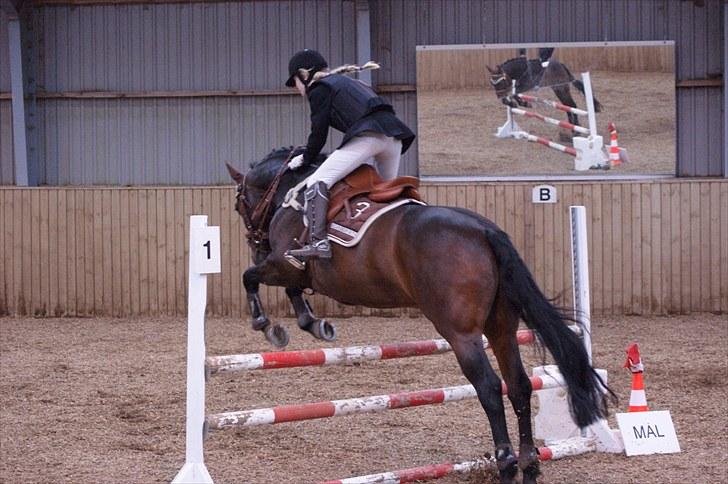 Stævne på Stevns rideklub D. 16/5-10 LJ-Foto billede 54