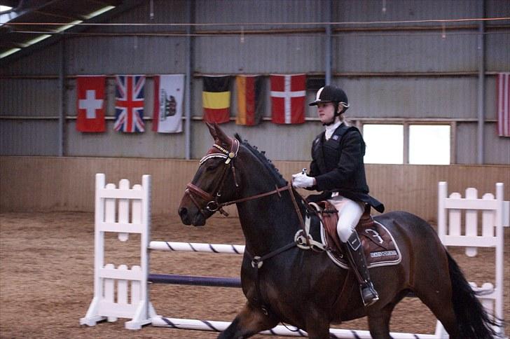 Stævne på Stevns rideklub D. 16/5-10 LJ-Foto billede 55