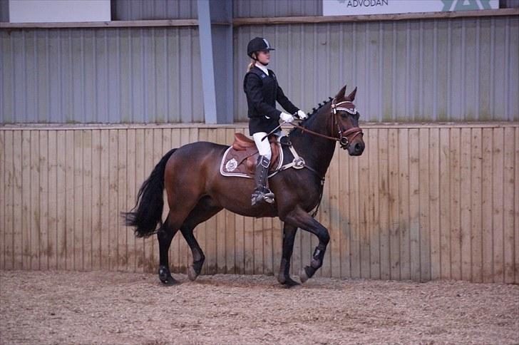 Stævne på Stevns rideklub D. 16/5-10 LJ-Foto billede 56
