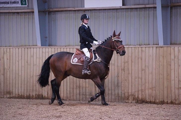 Stævne på Stevns rideklub D. 16/5-10 LJ-Foto billede 57