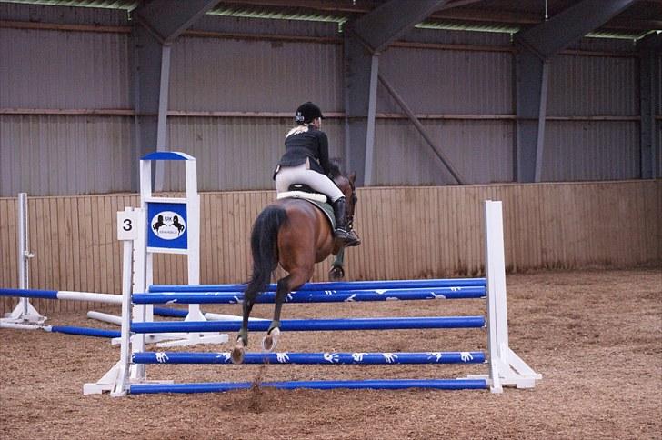 Stævne på Stevns rideklub D. 16/5-10 LJ-Foto billede 59