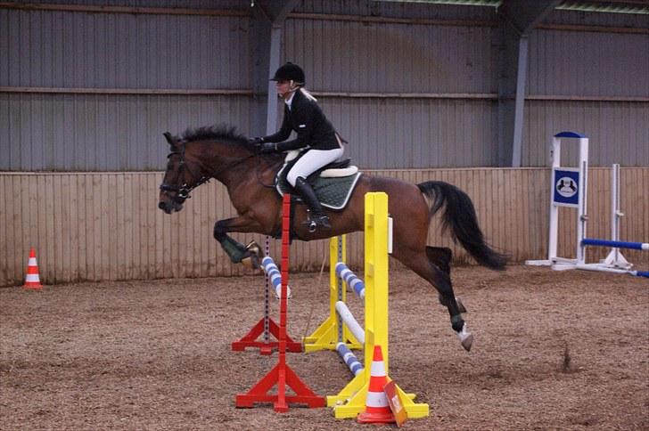 Stævne på Stevns rideklub D. 16/5-10 LJ-Foto billede 60