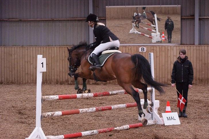 Stævne på Stevns rideklub D. 16/5-10 LJ-Foto billede 62