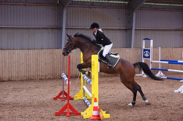 Stævne på Stevns rideklub D. 16/5-10 LJ-Foto billede 63