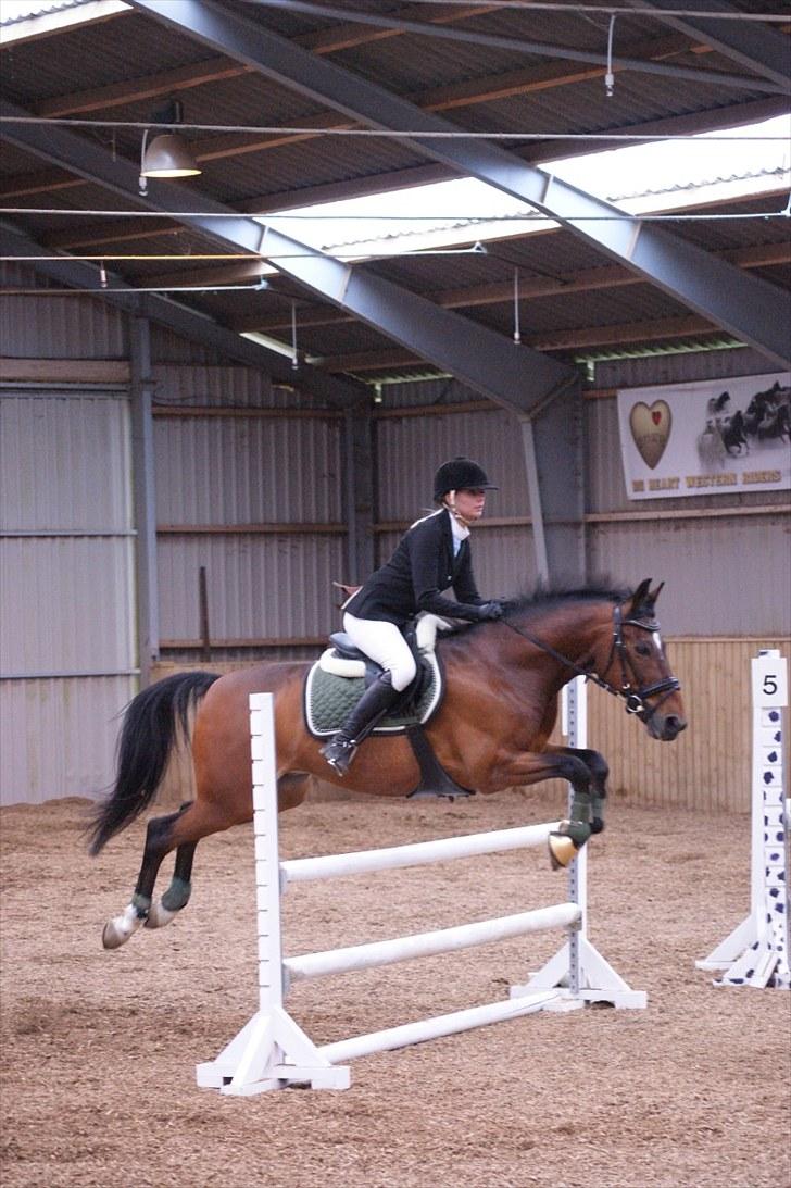 Stævne på Stevns rideklub D. 16/5-10 LJ-Foto billede 65