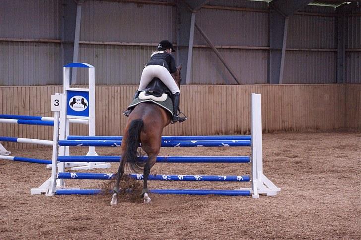 Stævne på Stevns rideklub D. 16/5-10 LJ-Foto billede 68