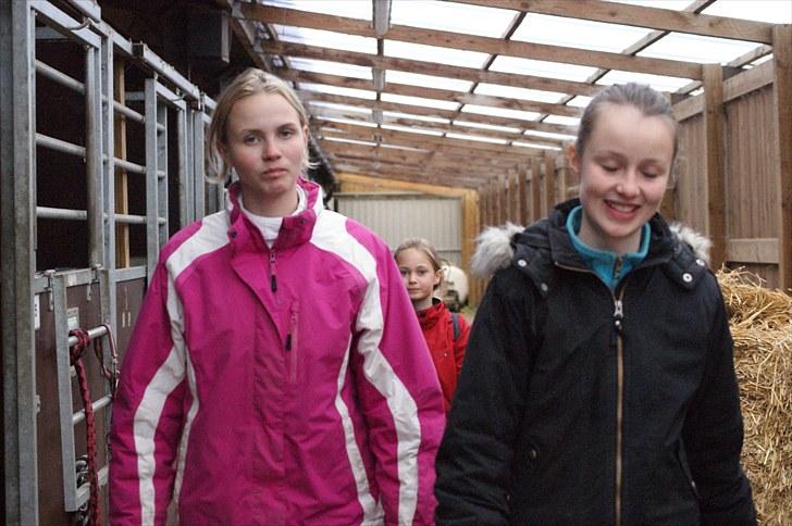 Stævne på Stevns rideklub D. 16/5-10 LJ-Foto billede 70