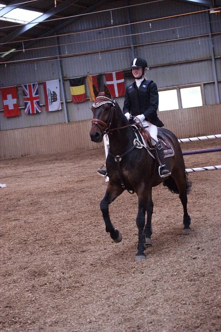 Stævne på Stevns rideklub D. 16/5-10 LJ-Foto billede 71