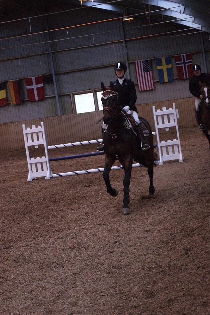 Stævne på Stevns rideklub D. 16/5-10 LJ-Foto billede 72