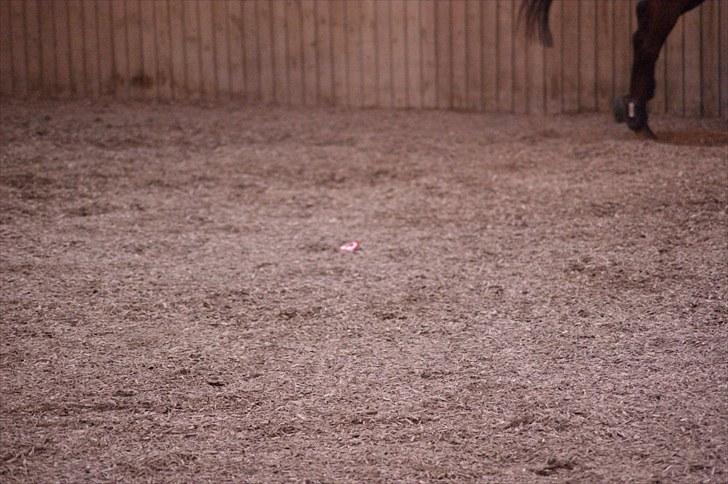 Stævne på Stevns rideklub D. 16/5-10 LJ-Foto billede 73