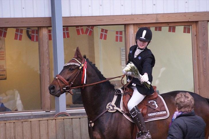 Stævne på Stevns rideklub D. 16/5-10 LJ-Foto billede 77