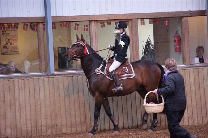 Stævne på Stevns rideklub D. 16/5-10 LJ-Foto billede 78