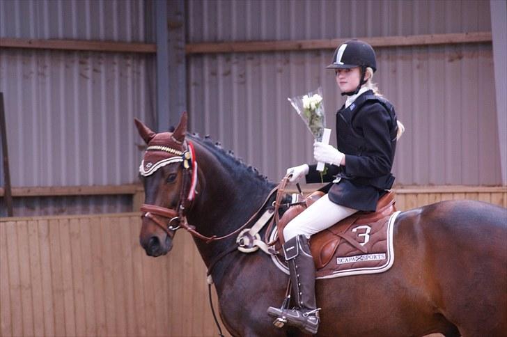 Stævne på Stevns rideklub D. 16/5-10 LJ-Foto billede 79