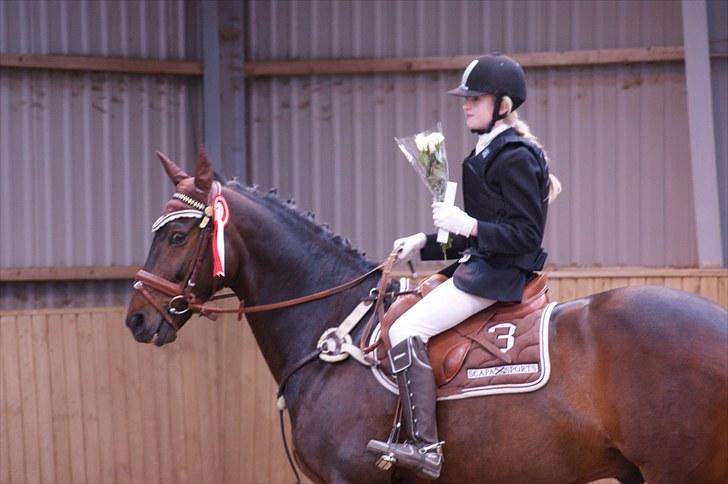 Stævne på Stevns rideklub D. 16/5-10 LJ-Foto billede 80