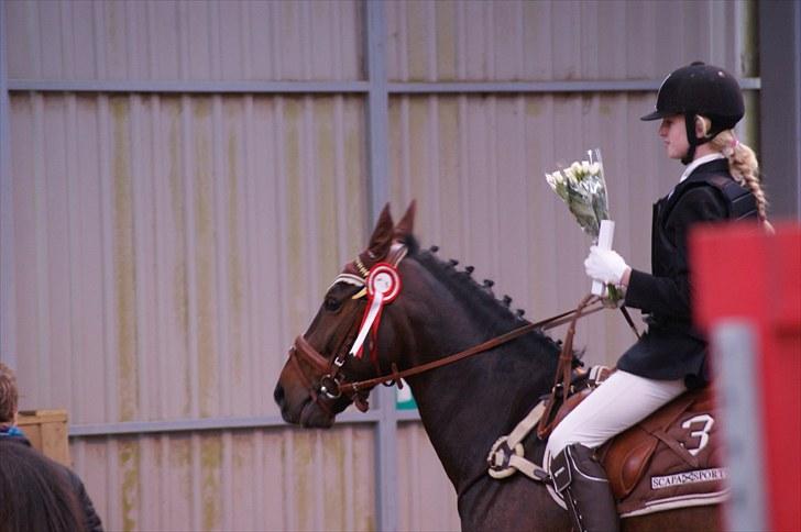 Stævne på Stevns rideklub D. 16/5-10 LJ-Foto billede 81
