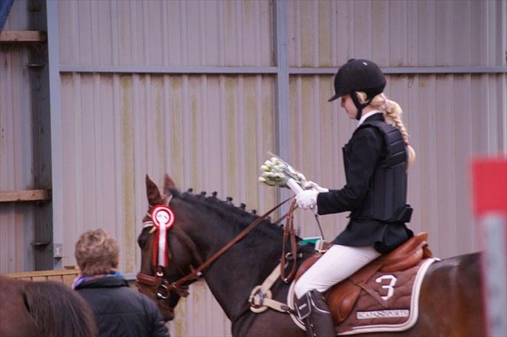 Stævne på Stevns rideklub D. 16/5-10 LJ-Foto billede 82
