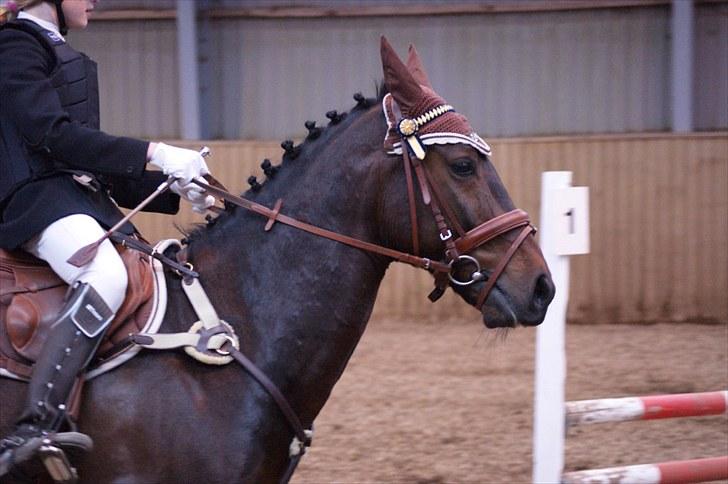 Stævne på Stevns rideklub D. 16/5-10 LJ-Foto billede 85