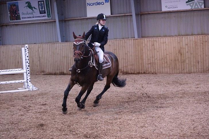 Stævne på Stevns rideklub D. 16/5-10 LJ-Foto billede 86