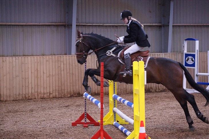 Stævne på Stevns rideklub D. 16/5-10 LJ-Foto billede 87