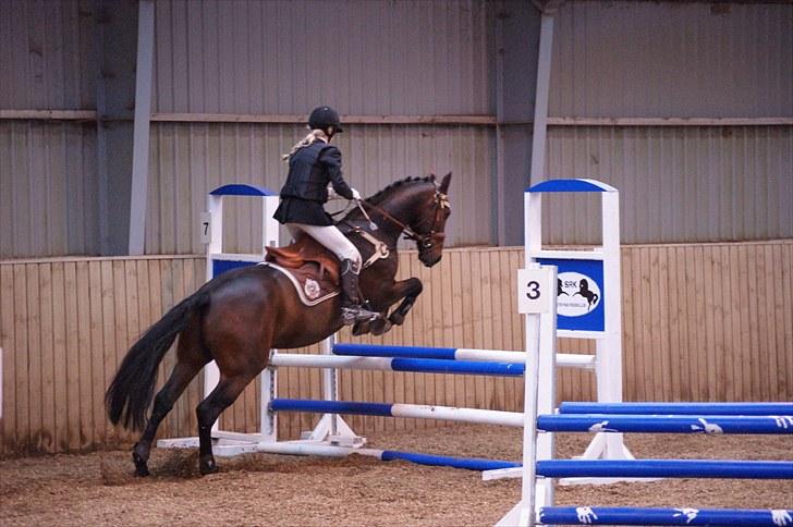 Stævne på Stevns rideklub D. 16/5-10 LJ-Foto billede 88