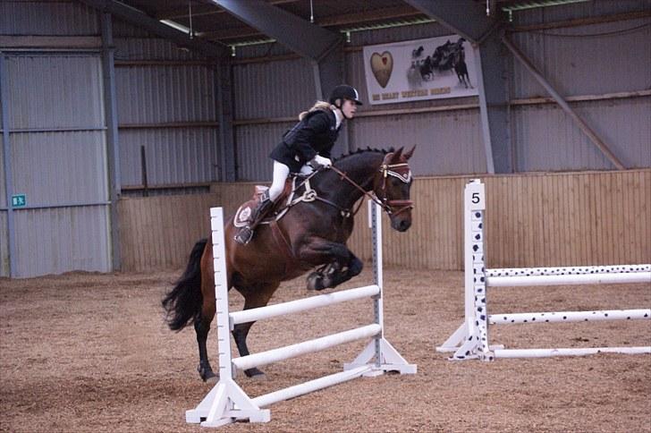 Stævne på Stevns rideklub D. 16/5-10 LJ-Foto billede 89