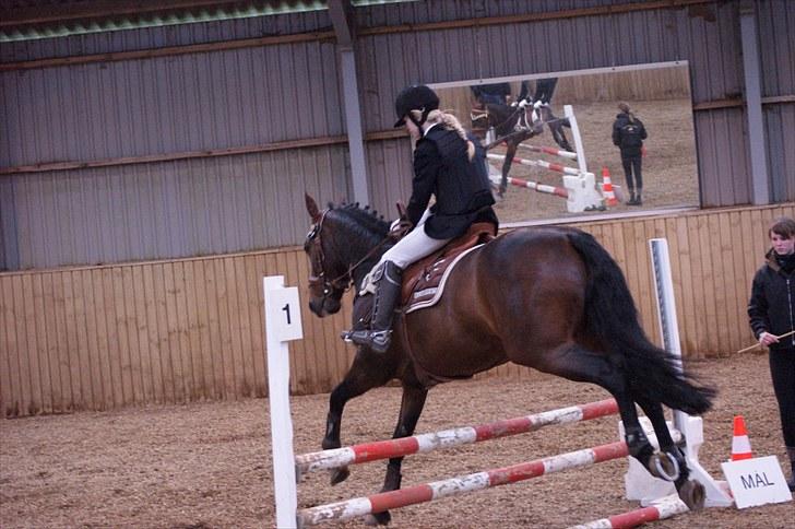 Stævne på Stevns rideklub D. 16/5-10 LJ-Foto billede 90