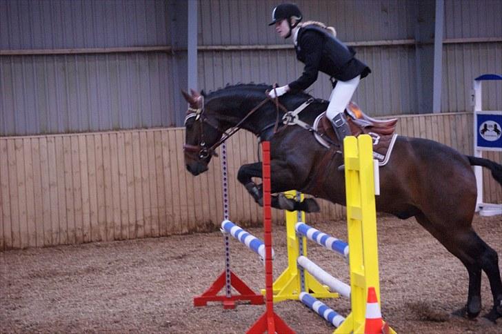 Stævne på Stevns rideklub D. 16/5-10 LJ-Foto billede 91