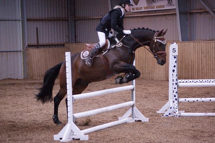 Stævne på Stevns rideklub D. 16/5-10 LJ-Foto billede 93