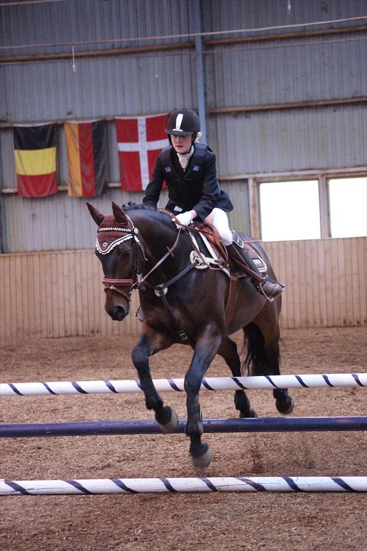 Stævne på Stevns rideklub D. 16/5-10 LJ-Foto billede 94