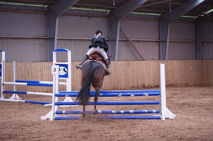 Stævne på Stevns rideklub D. 16/5-10 LJ-Foto billede 95
