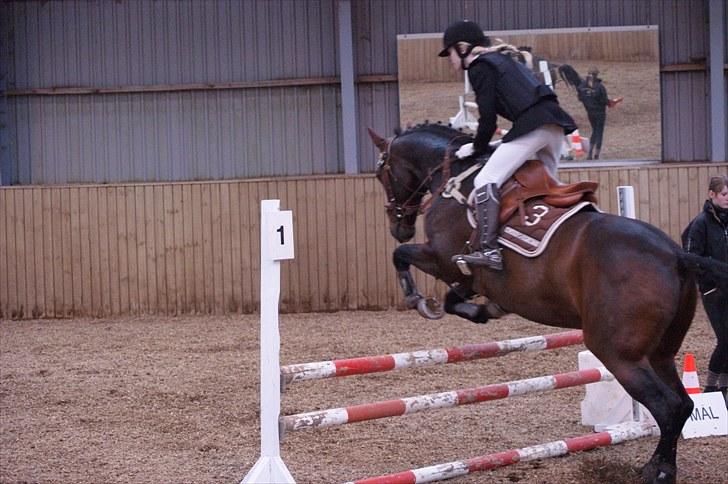 Stævne på Stevns rideklub D. 16/5-10 LJ-Foto billede 96