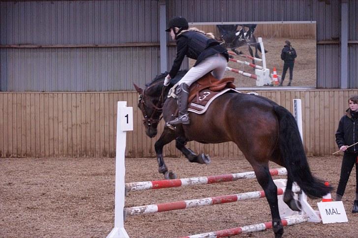 Stævne på Stevns rideklub D. 16/5-10 LJ-Foto billede 97