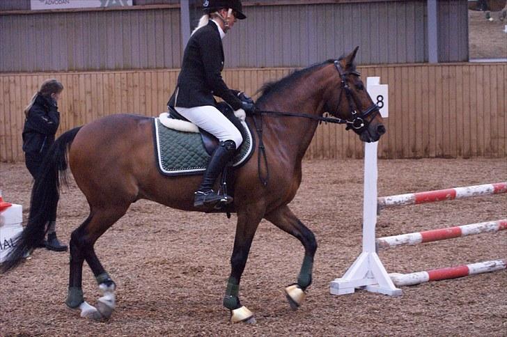 Stævne på Stevns rideklub D. 16/5-10 LJ-Foto billede 98