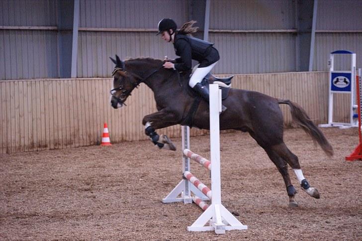 Stævne på Stevns rideklub D. 16/5-10 LJ-Foto billede 99