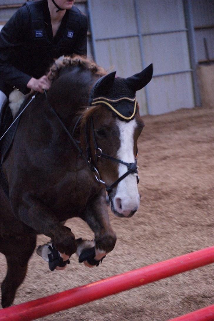 Stævne på Stevns rideklub D. 16/5-10 LJ-Foto billede 100