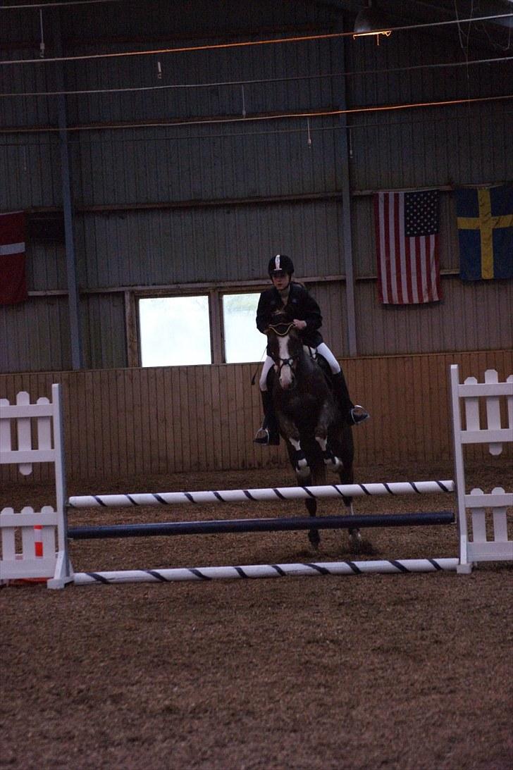 Stævne på Stevns rideklub D. 16/5-10 LJ-Foto billede 101