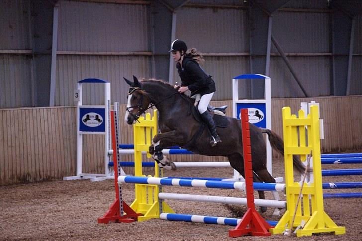 Stævne på Stevns rideklub D. 16/5-10 LJ-Foto billede 102