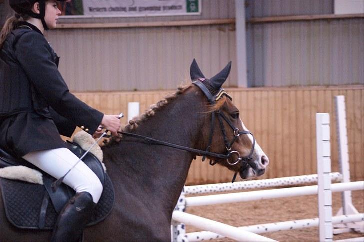 Stævne på Stevns rideklub D. 16/5-10 LJ-Foto billede 103