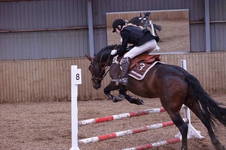 Stævne på Stevns rideklub D. 16/5-10 LJ-Foto billede 104