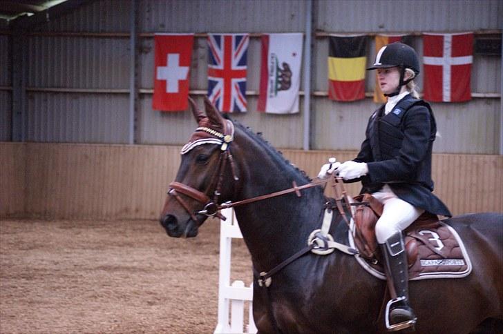 Stævne på Stevns rideklub D. 16/5-10 LJ-Foto billede 105