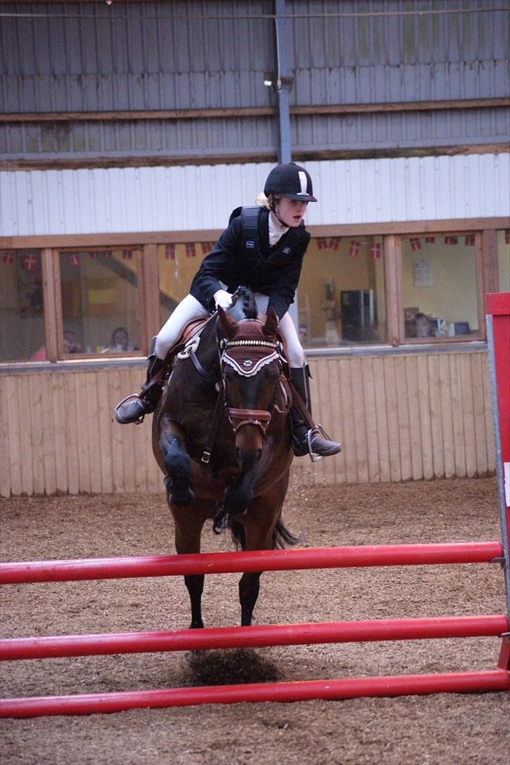 Stævne på Stevns rideklub D. 16/5-10 LJ-Foto billede 106