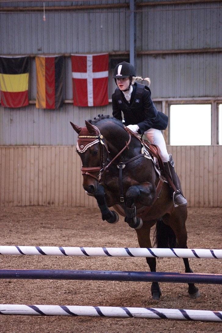Stævne på Stevns rideklub D. 16/5-10 LJ-Foto billede 107