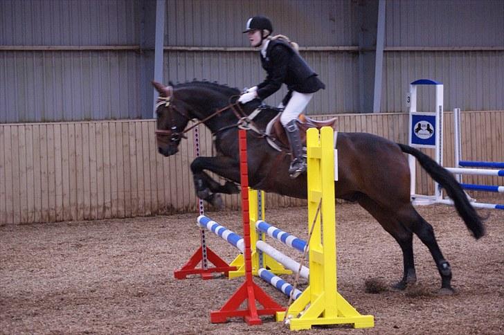 Stævne på Stevns rideklub D. 16/5-10 LJ-Foto billede 109