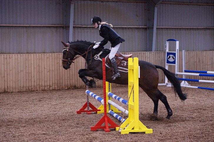 Stævne på Stevns rideklub D. 16/5-10 LJ-Foto billede 110
