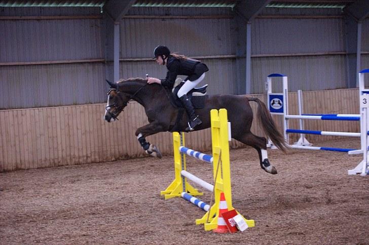 Stævne på Stevns rideklub D. 16/5-10 LJ-Foto billede 111