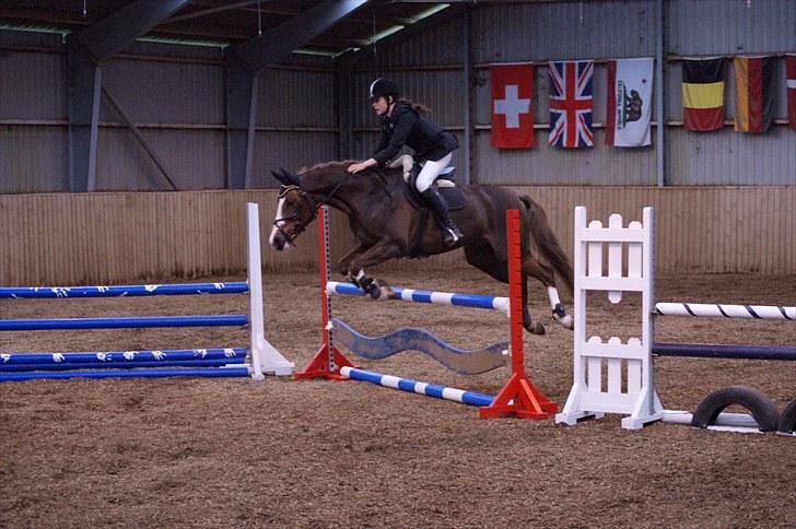 Stævne på Stevns rideklub D. 16/5-10 LJ-Foto billede 112