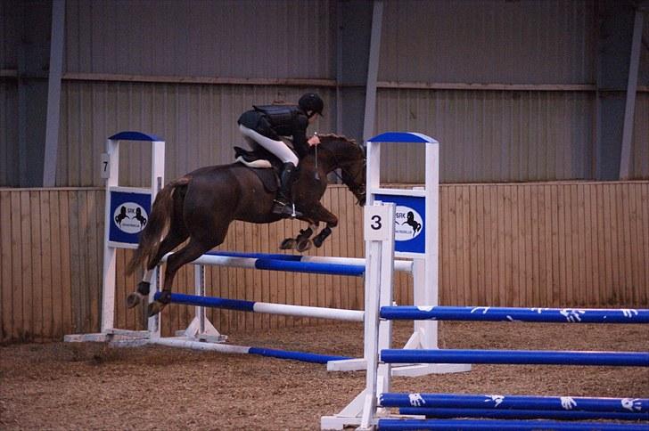 Stævne på Stevns rideklub D. 16/5-10 LJ-Foto billede 113