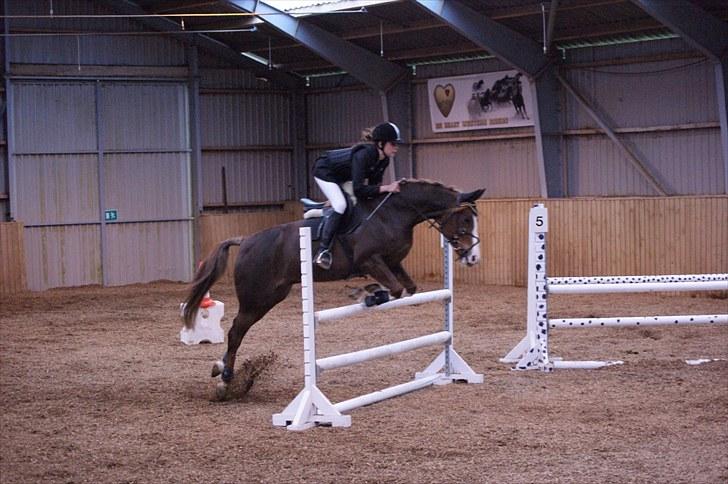 Stævne på Stevns rideklub D. 16/5-10 LJ-Foto billede 114